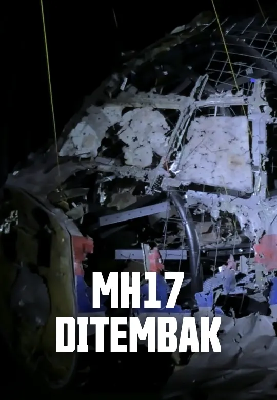Bagaimana Pesawat MH17 Ditembak